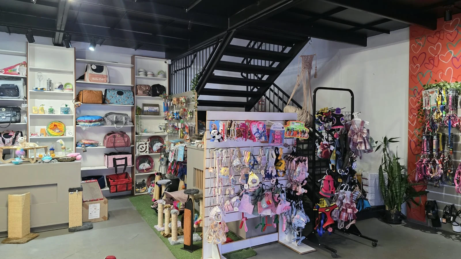 Área de acessórios e roupinhas da Dog Store