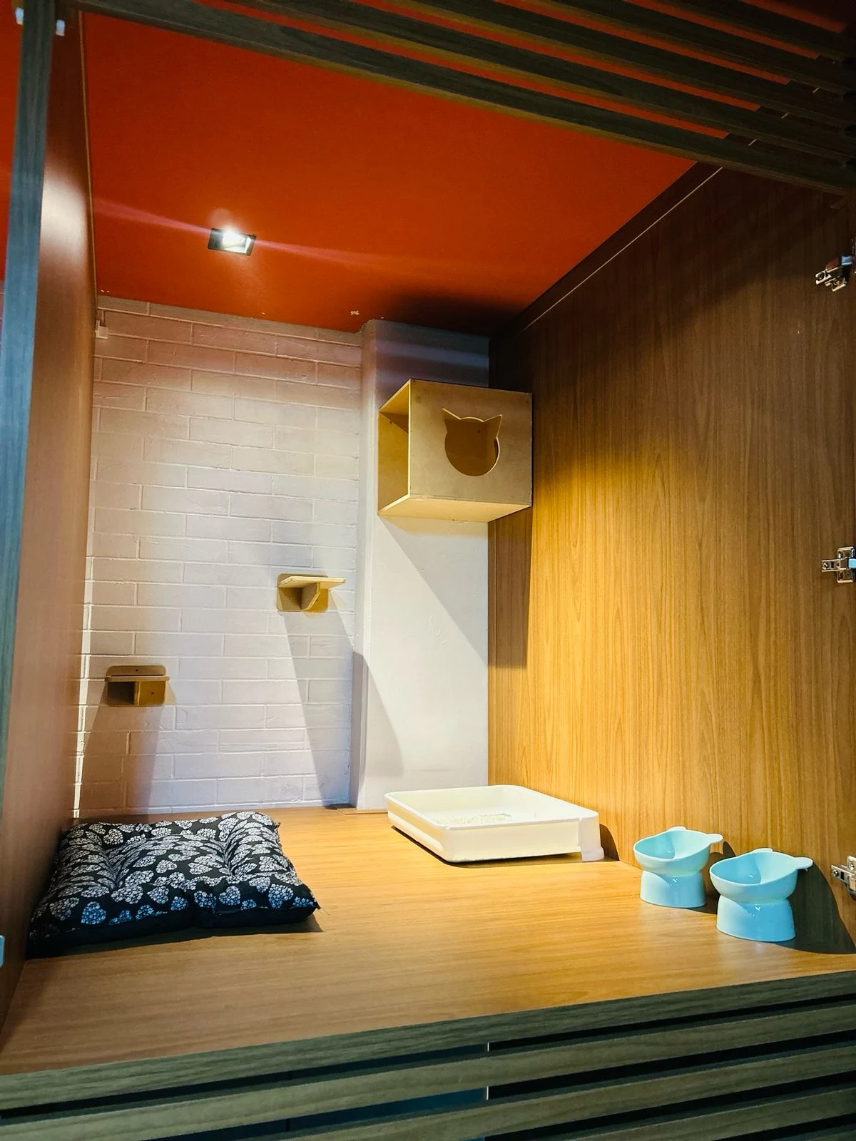 Suíte simples do hotel de gatos, com cama, caixa de areia e plataforma